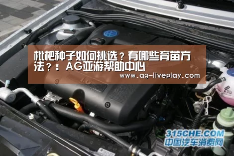 AG亚游注册登录