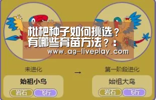AG亚游常见问题