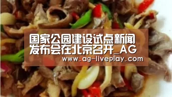 AG亚游常见问题